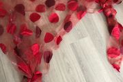 Tuille curtains for 2 windows