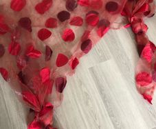 Tuille curtains for 2 windows