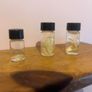 Taxidermy Specimens Image 5