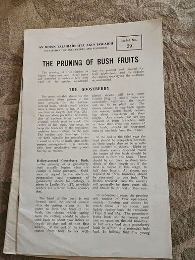1960s Department Of Agricultural Booklets On Farming. Topics Such As Patato Growing,planting Forest Trees,desease Control And Others. In Good Condition.  See Photos For Same.