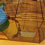 Large hamster cage - gerbil mouse rat rabbit guinea pig crate kennel  house Image 7