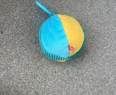Fisherprice sensory Toy