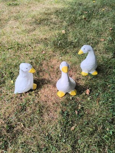 Ducks x 3