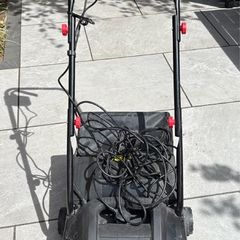 Forever Green Lawns: Artificial Grass Electric Power Brush "Brush & Collect"