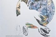 Magnolia Electric Co - What Comes After The Blues (LP, Album, RE)