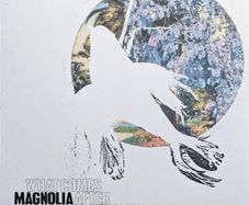 Magnolia Electric Co - What Comes After The Blues (LP, Album, RE)