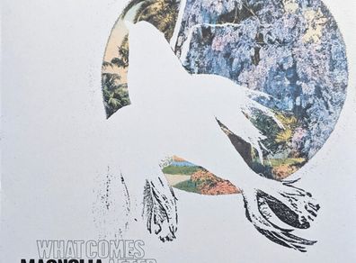 Magnolia Electric Co - What Comes After The Blues (LP, Album, RE)