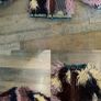 Next jacket ( size 5 years) Image 5