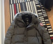 Canada goose
