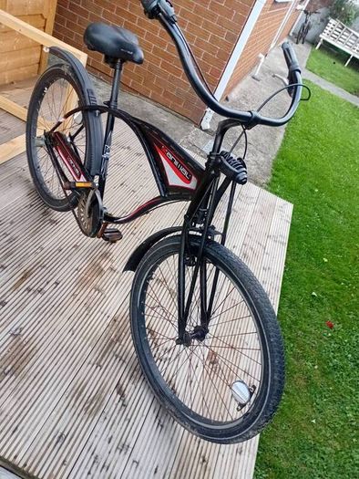 adults bike
