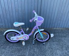 Bicycle 16"
