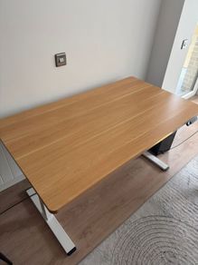 FlexiSpot Standing desk E1 Pro 160x80 cm - dual motor, particle board
