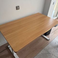 FlexiSpot Standing desk E1 Pro 160x80 cm - dual motor, particle board