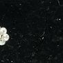 newbridge silver earrings Image 4