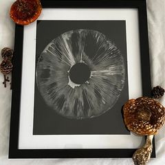 1 Amanita Muscaria the Fly Agaric Mushroom Spore Print Stylish Wall Decor Curiosity