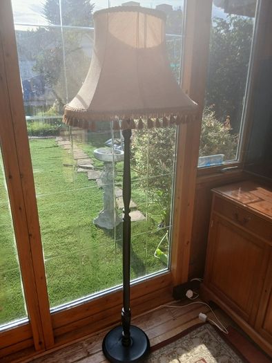 Tall Floor Lamp - Only 85