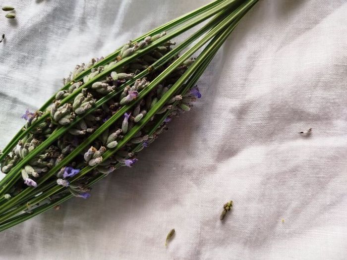 Handmade Lavender Wands