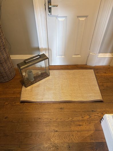 PVC rug 60 by 110 and lantern