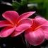 suzanne.cloherty