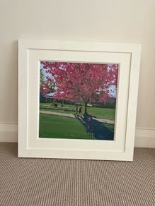 John Morris Cherry Blossom St Stephen's Green painting