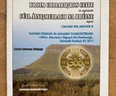 2011 Coolaney/Mullinabreena v Drumcliffe/Rosses Point - GAA Sligo Minor B Final Programme