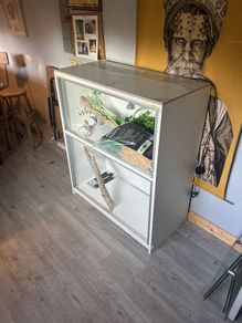 reptile tank for free