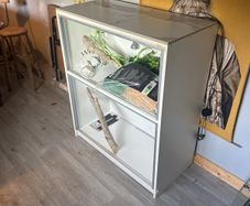 reptile tank for free