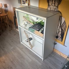 reptile tank for free