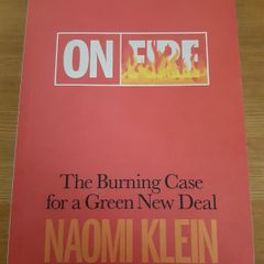 On Fire: The Burning Case for a Green New Deal - Naomi Klein