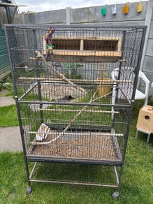 bird cage