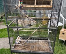 bird cage