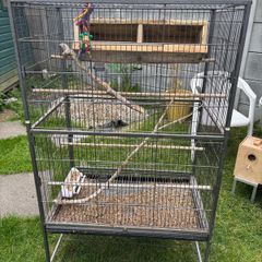 bird cage