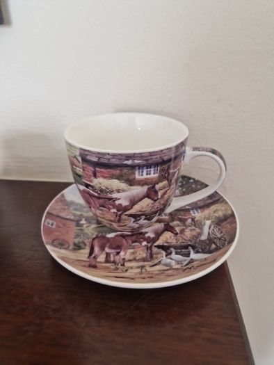 cup & saucer