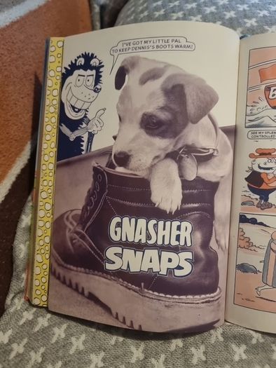 The BEANO Book 1985 (Annual)