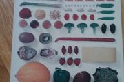 Cook's Ingredients - BOOK