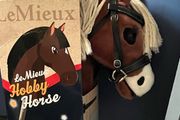 Hobby Horse