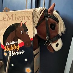 Hobby Horse