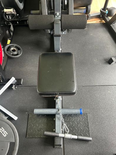 Lat pulldown / low row (Bodymax CF660)