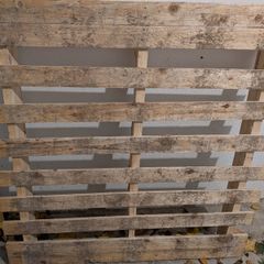 Wooden shipping pallet