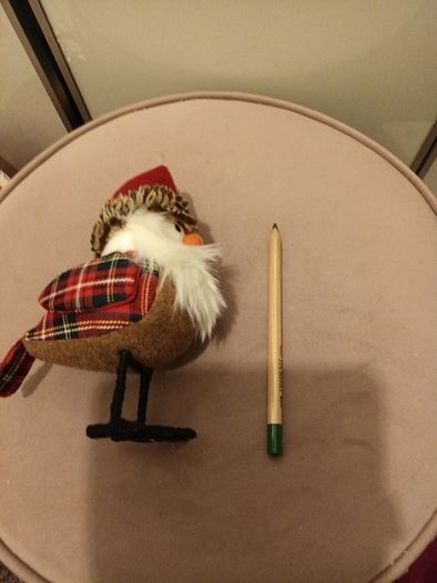 Christmas Robin