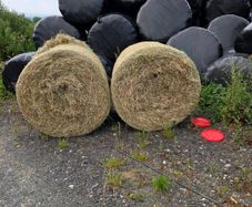 Hay & Silage bales