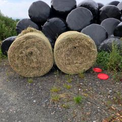 Hay & Silage bales