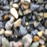 Pebble Image 6