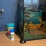 Small fish tank Image 2