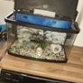 40 liter full glass aquarium with 2 filters and lots of extras Image 10