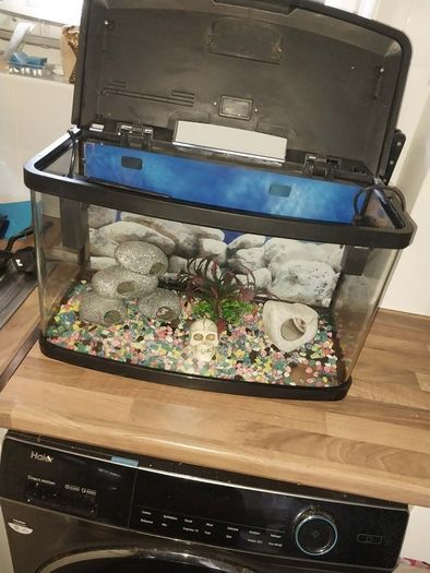 40 liter full glass aquarium with 2 filters and lots of extras
