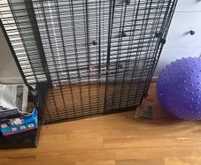 Fire Guard