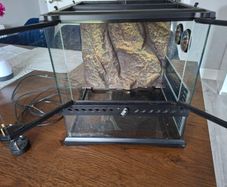 exo terra terrarium