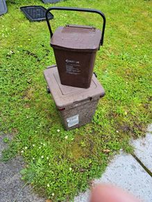 Food bins