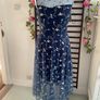 dress Bnwt Paisie occasion wear dress size 10 Image 2